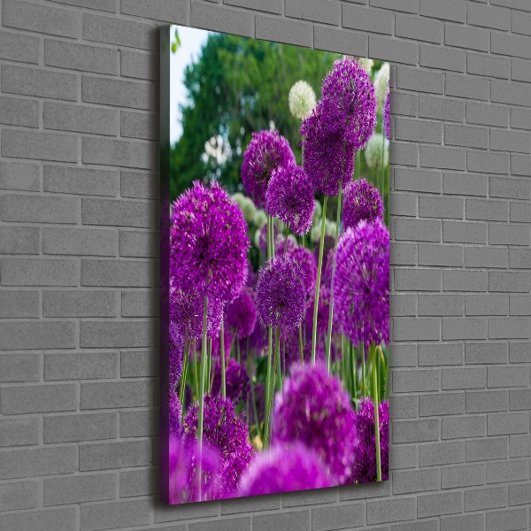 Canvas wall art Garlic flowers