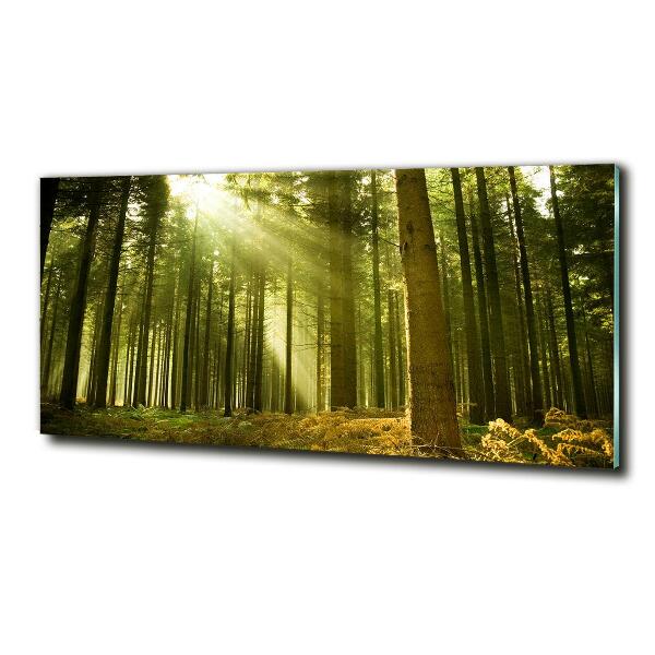 Glass art print A pine forest