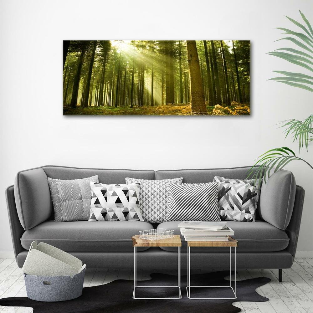 Glass art print A pine forest