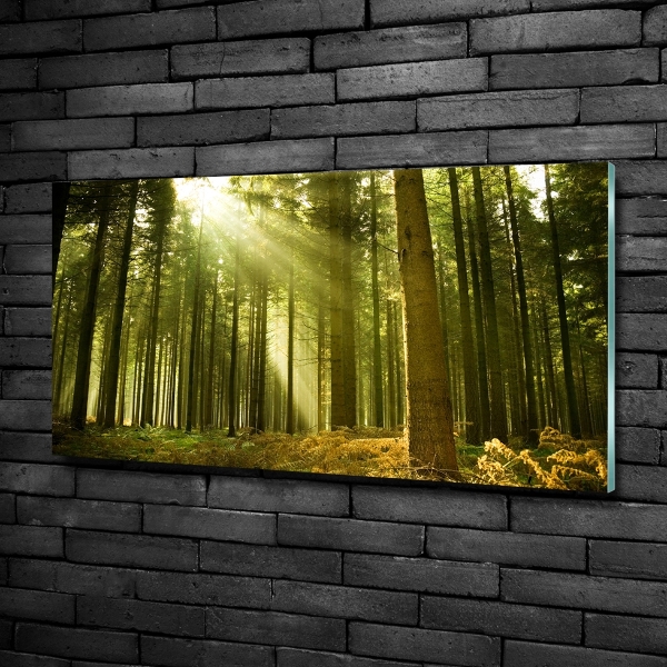 Glass art print A pine forest