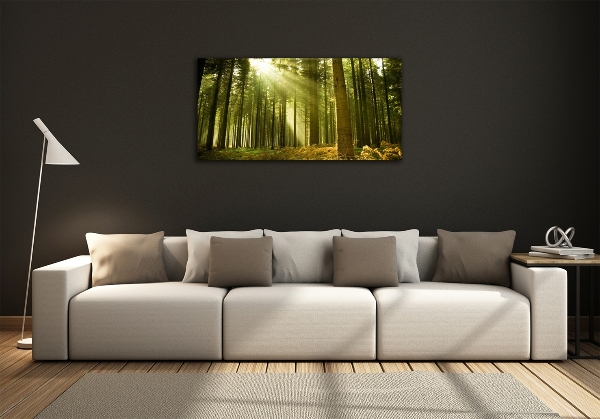 Glass art print A pine forest