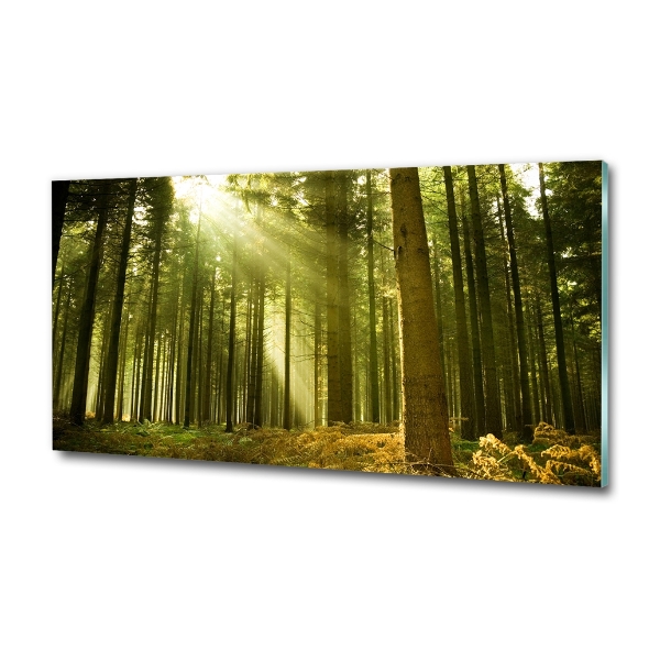 Glass art print A pine forest