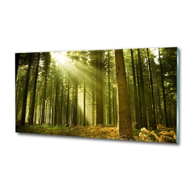 Glass art print A pine forest