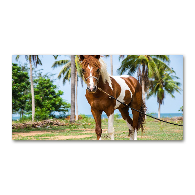 Wall art on glass Spotted horse