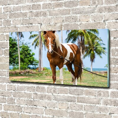 Wall art on glass Spotted horse