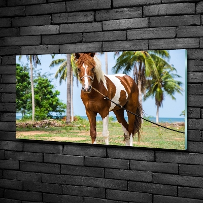 Wall art on glass Spotted horse