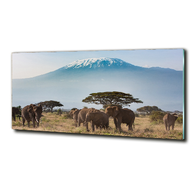 Glass wall art Kilimanjaro elephants