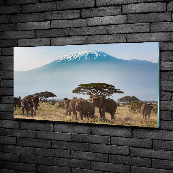 Glass wall art Kilimanjaro elephants