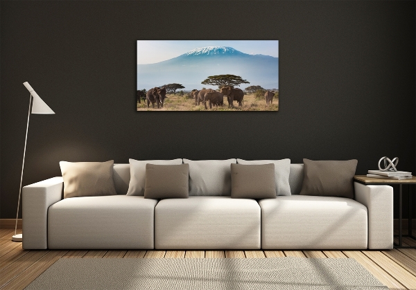 Glass wall art Kilimanjaro elephants