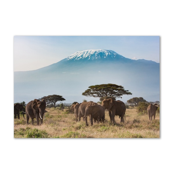 Glass wall art Kilimanjaro elephants