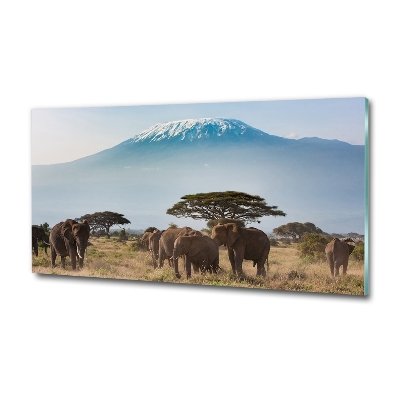 Glass wall art Kilimanjaro elephants