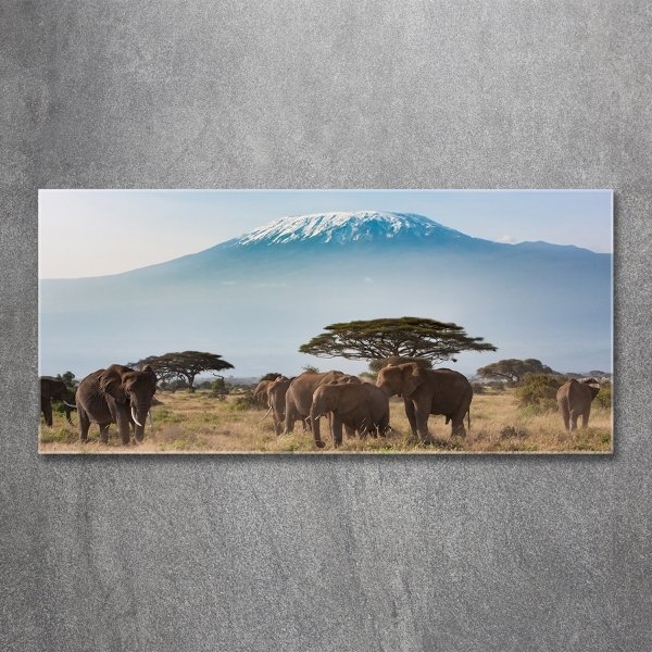 Glass wall art Kilimanjaro elephants