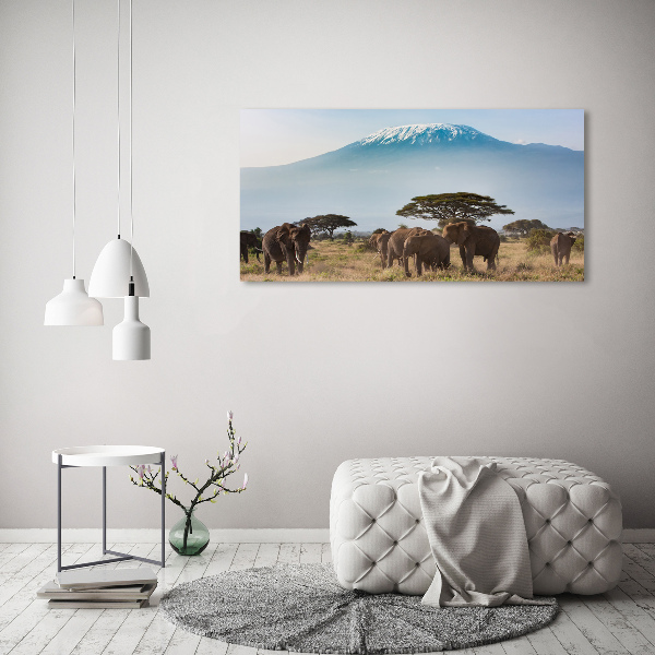 Glass wall art Kilimanjaro elephants