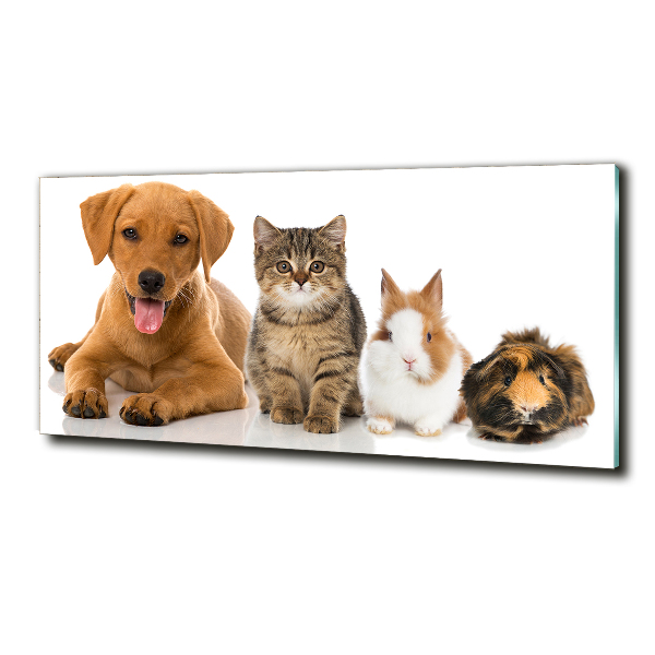 Wall art on glass Dog and cat