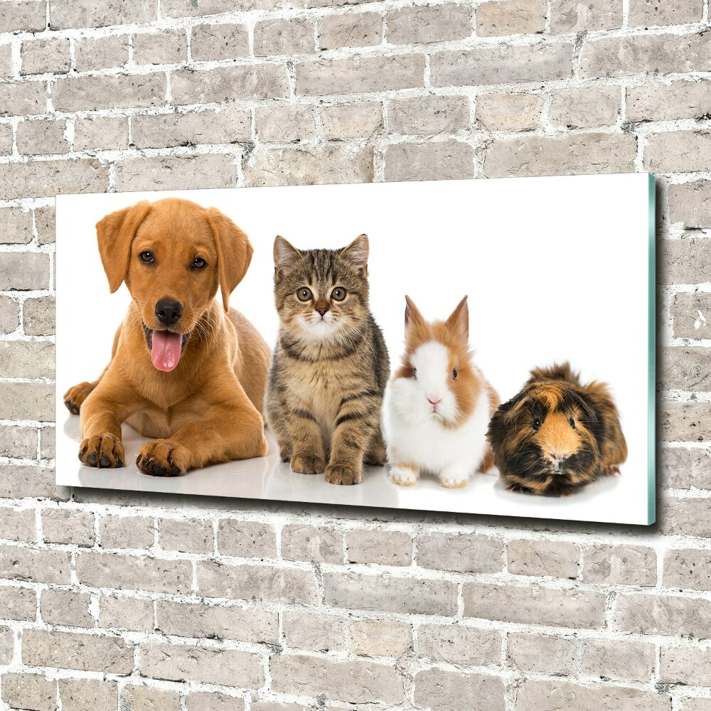 Wall art on glass Dog and cat