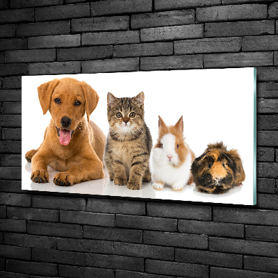 Wall art on glass Dog and cat