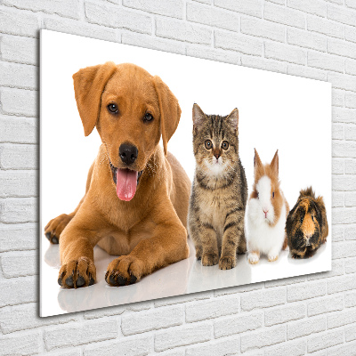 Wall art on glass Dog and cat