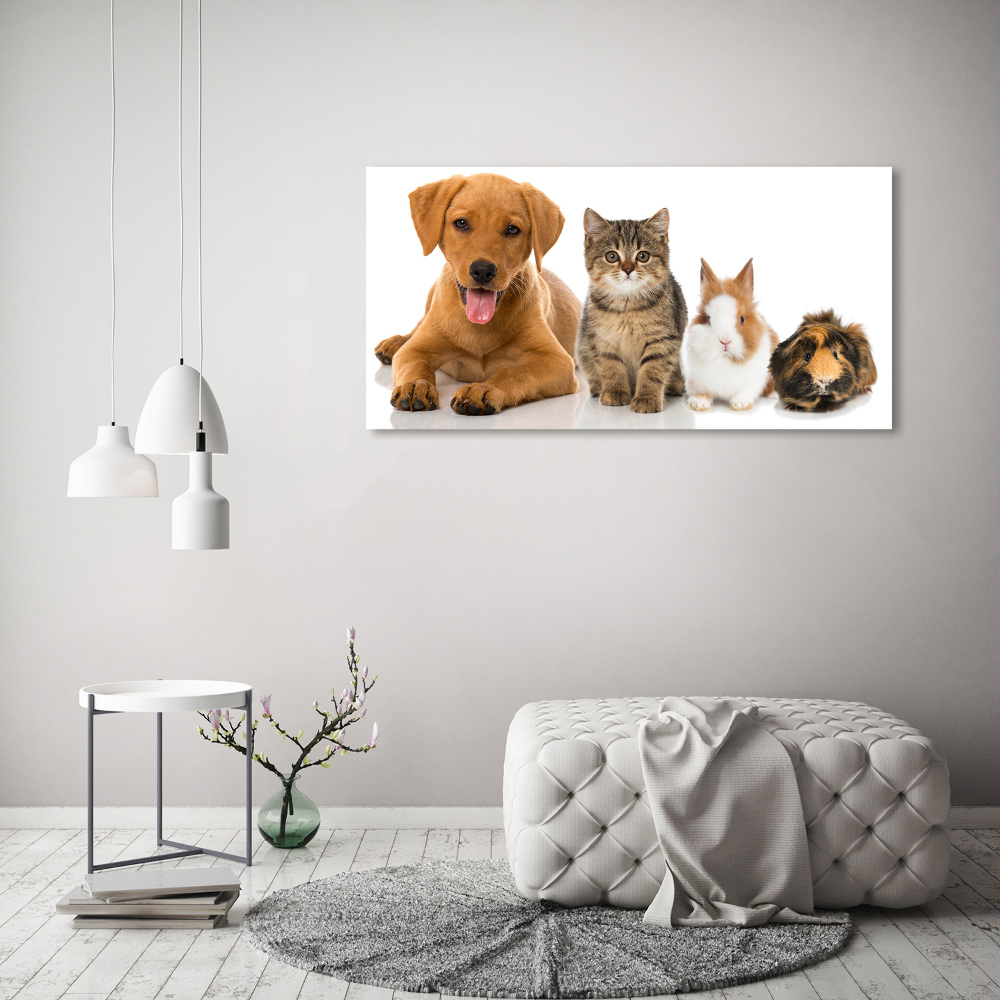 Wall art on glass Dog and cat