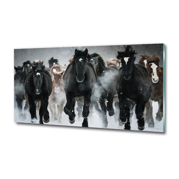 Glass wall art Horses at gallop