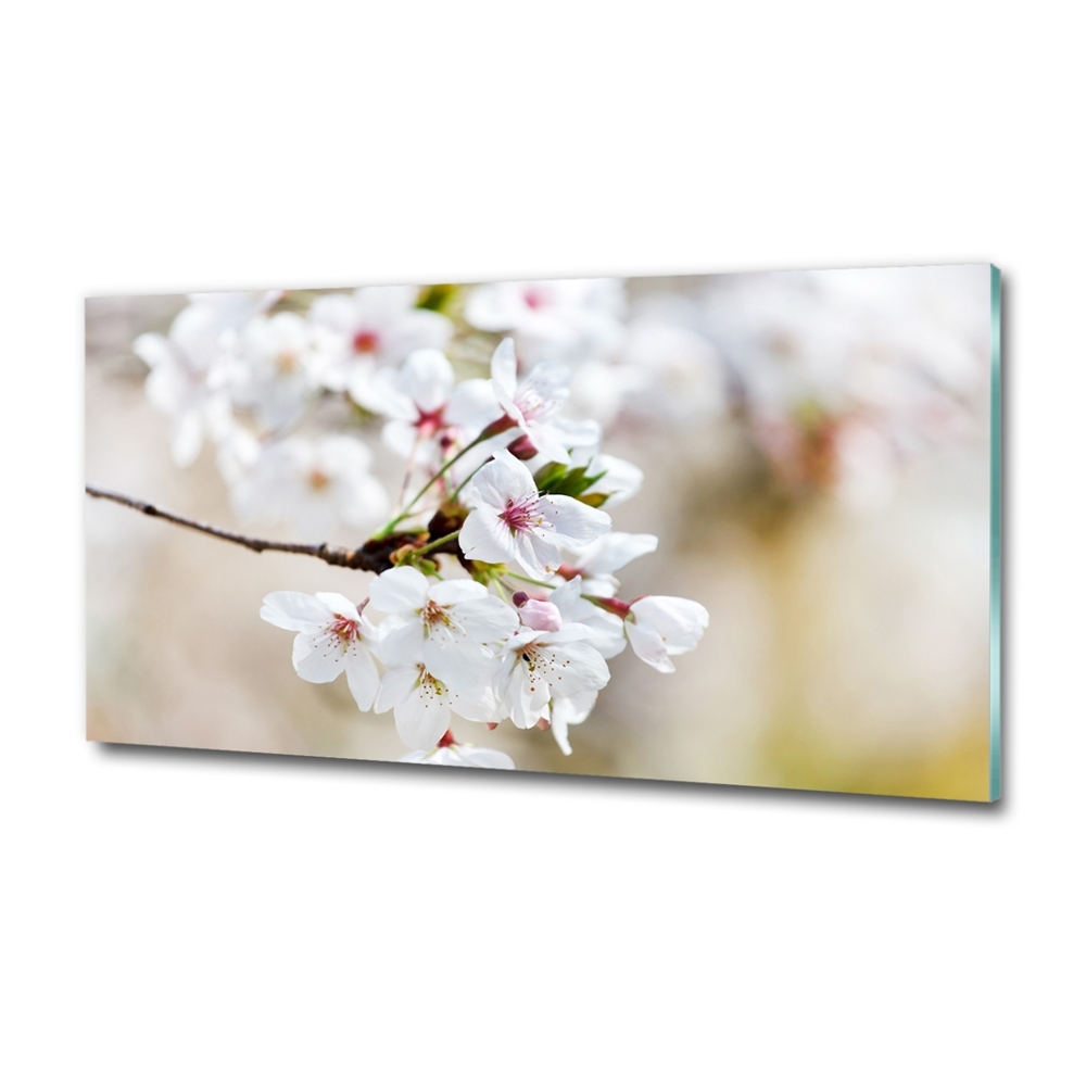 Glass wall art large Cherry blossoms