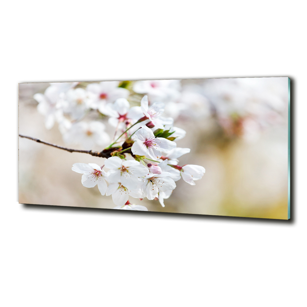 Glass wall art large Cherry blossoms