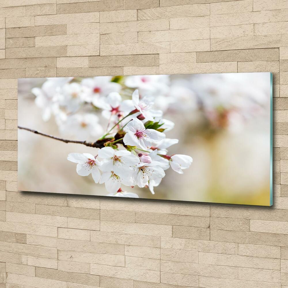 Glass wall art large Cherry blossoms