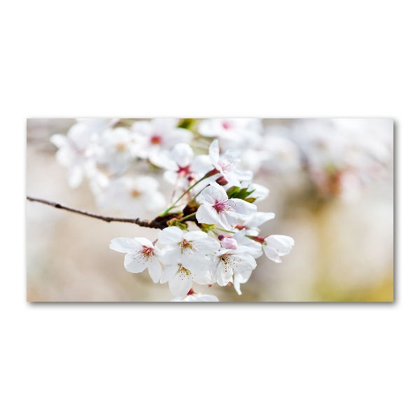 Glass wall art large Cherry blossoms