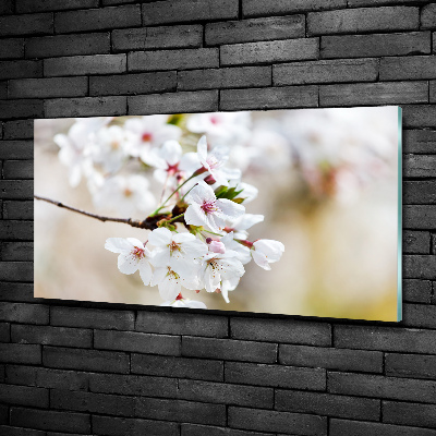 Glass wall art large Cherry blossoms