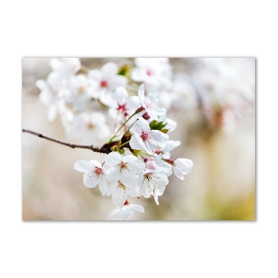 Glass wall art large Cherry blossoms