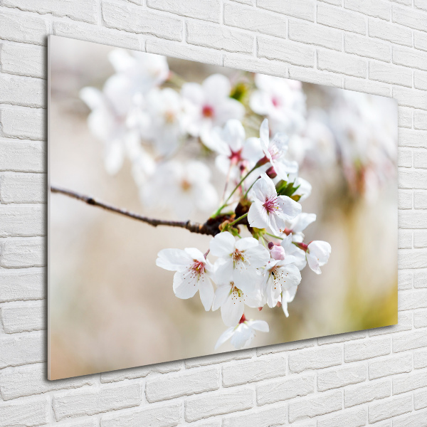 Glass wall art large Cherry blossoms