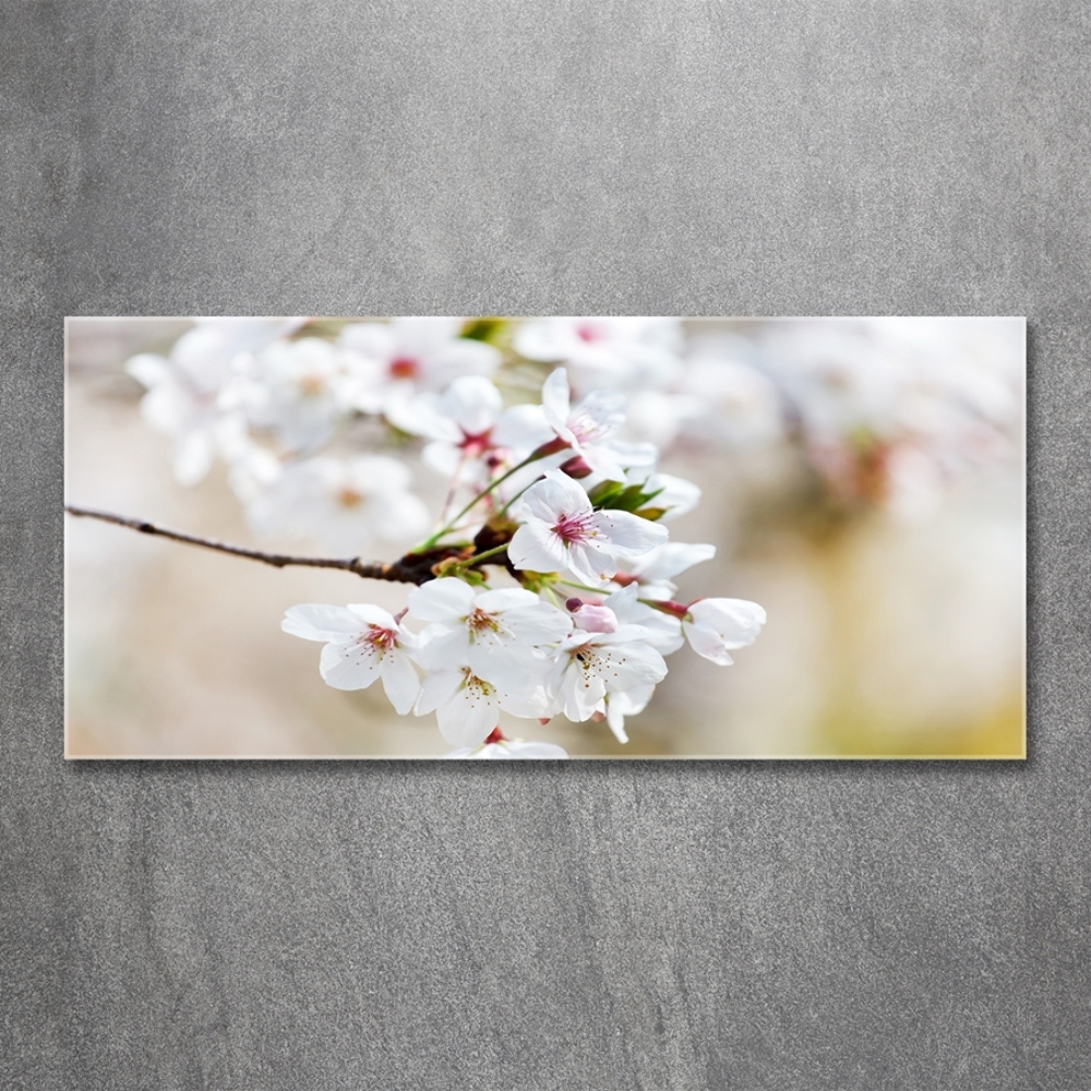 Glass wall art large Cherry blossoms