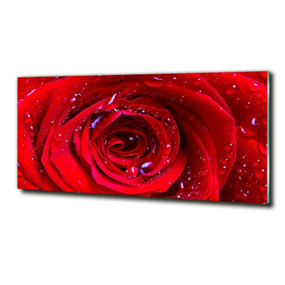 Glass wall art large Rose flower