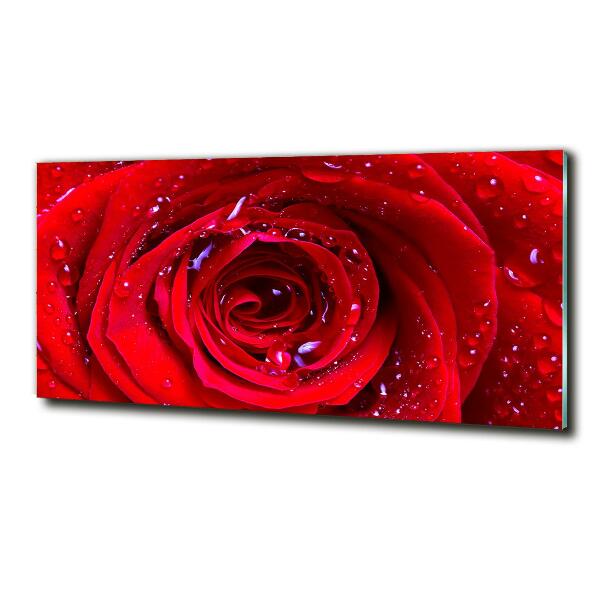 Glass wall art large Rose flower