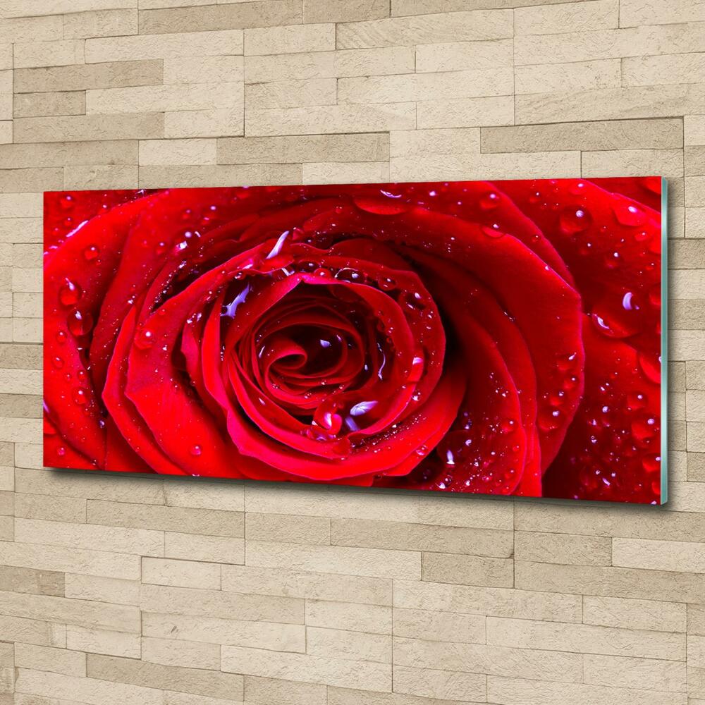 Glass wall art large Rose flower