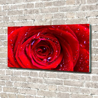 Glass wall art large Rose flower