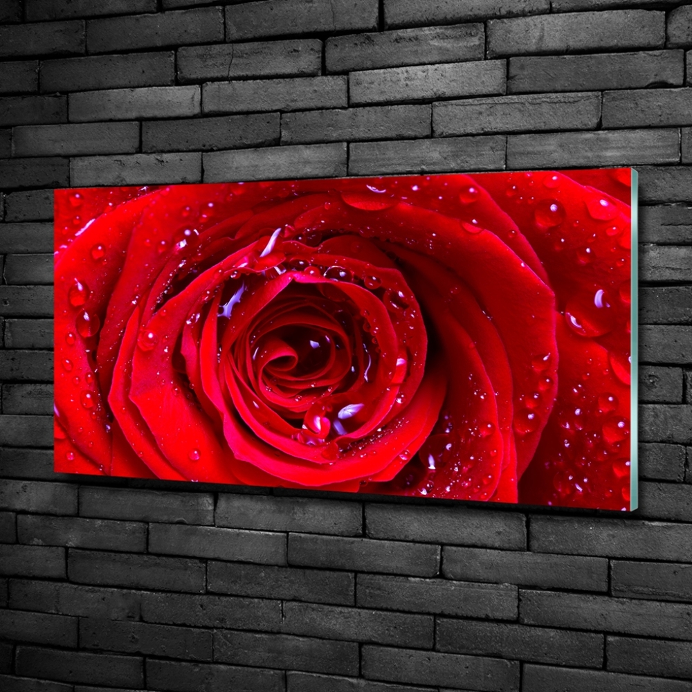 Glass wall art large Rose flower