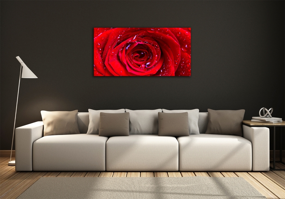 Glass wall art large Rose flower