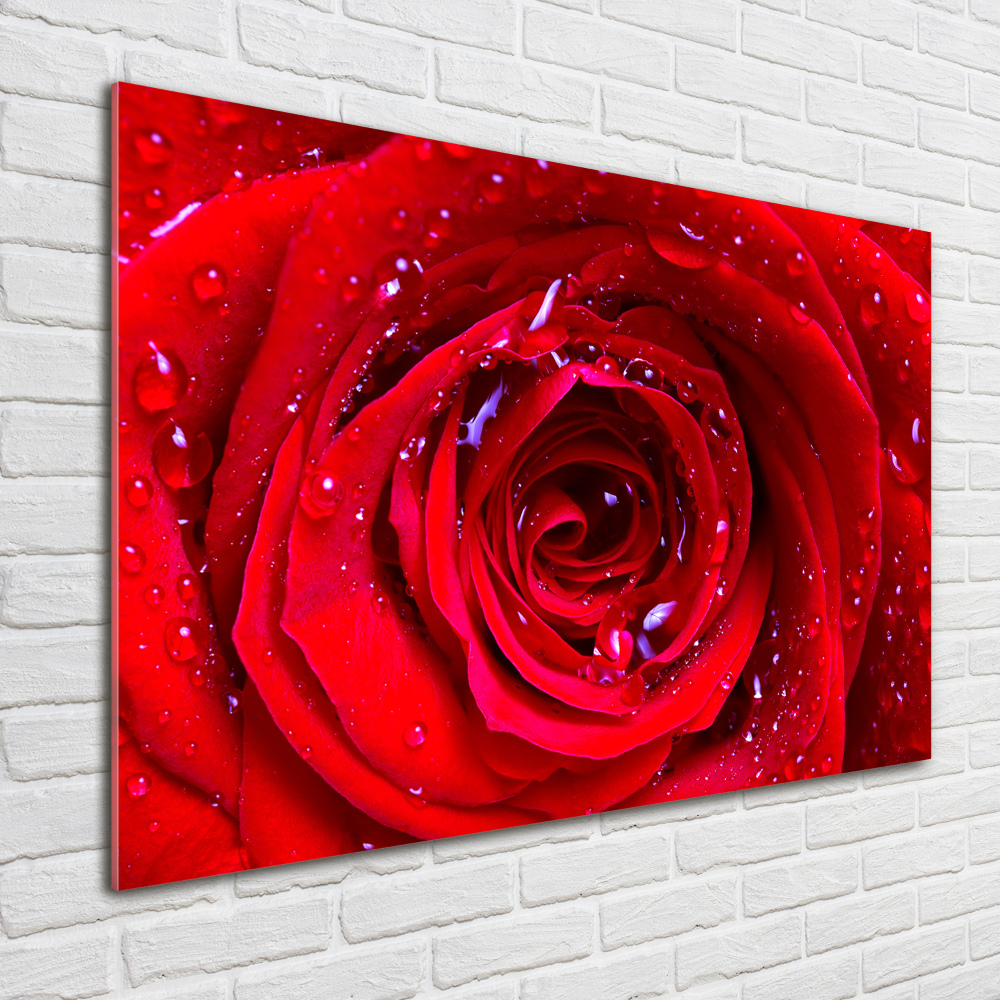 Glass wall art large Rose flower