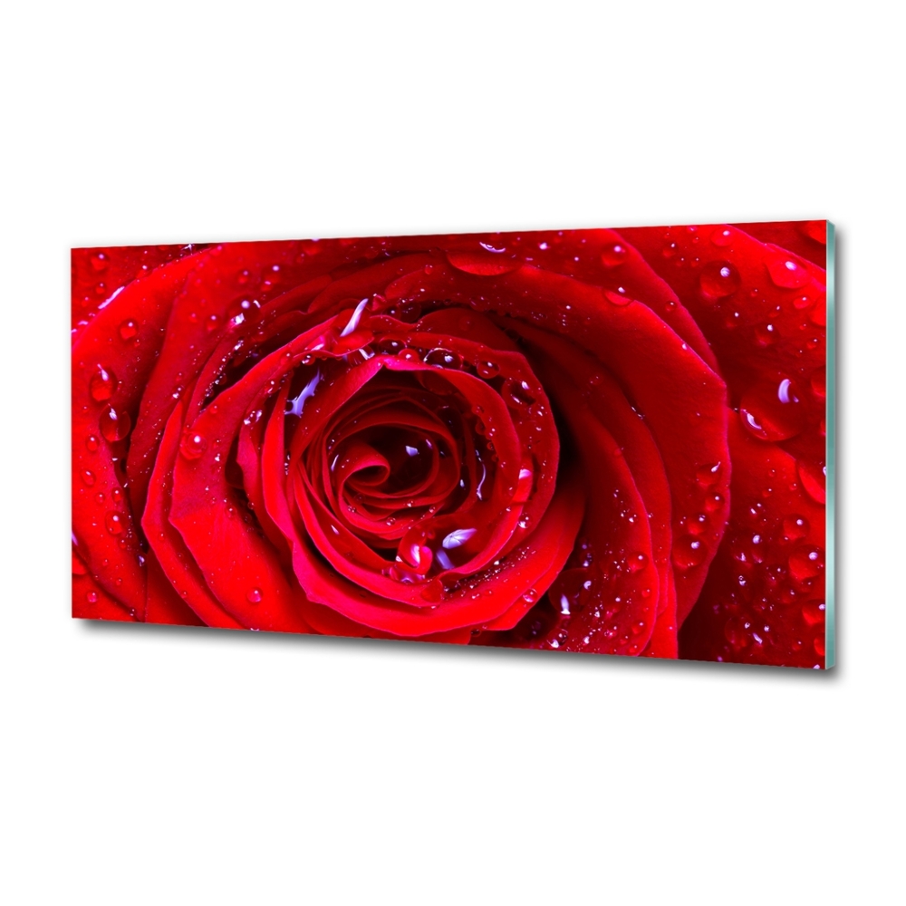 Glass wall art large Rose flower