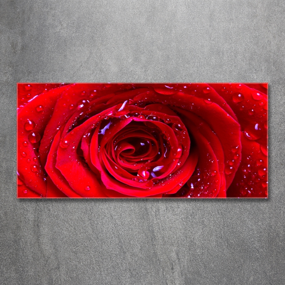 Glass wall art large Rose flower