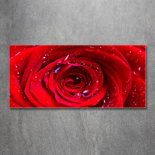 Glass wall art large Rose flower