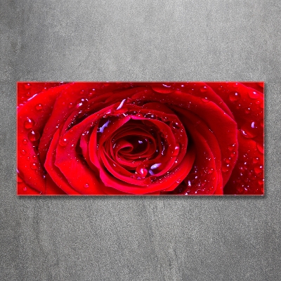 Glass wall art large Rose flower