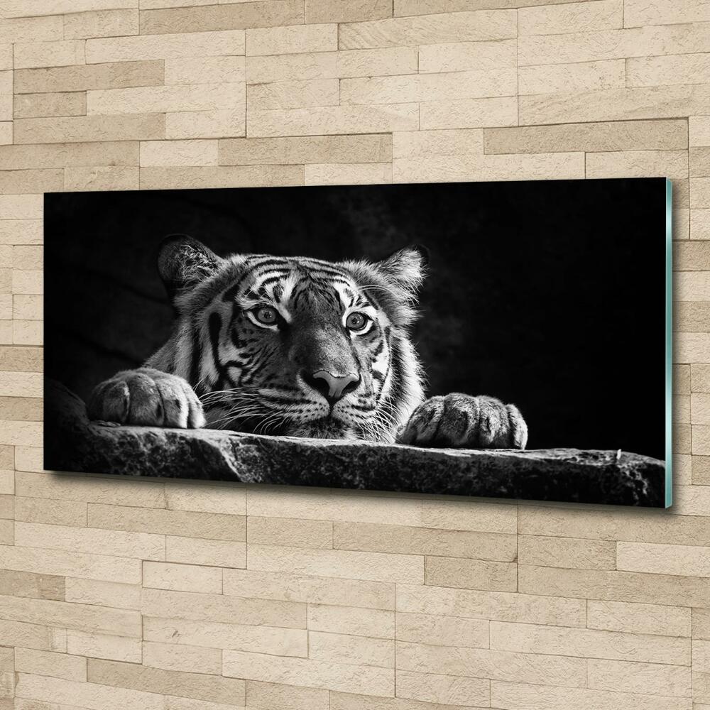 Wall art on glass Tiger