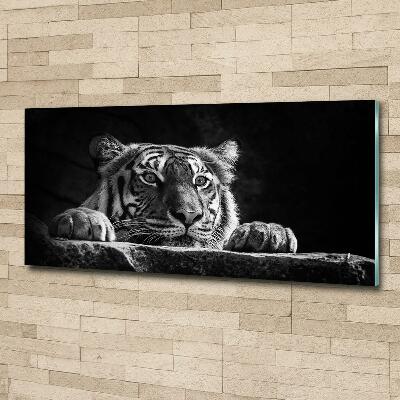 Wall art on glass Tiger