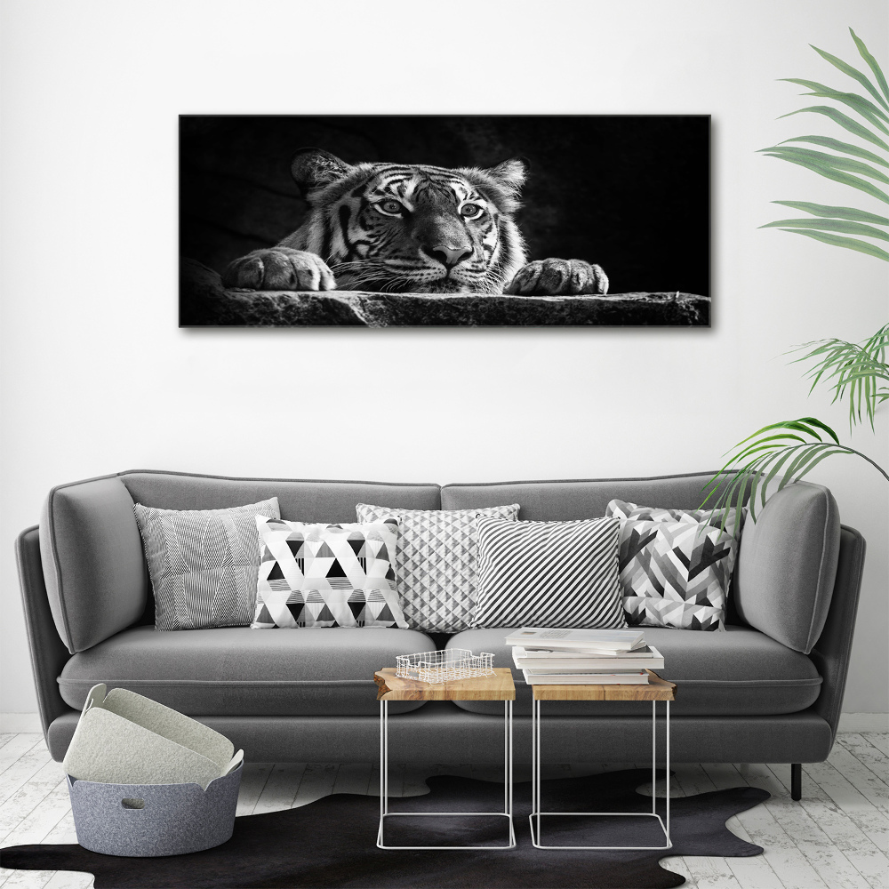 Wall art on glass Tiger