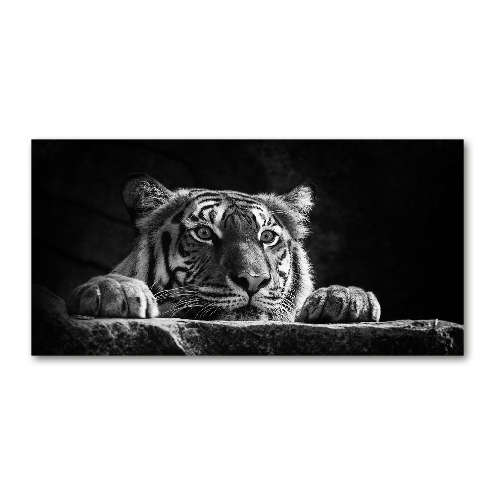 Wall art on glass Tiger