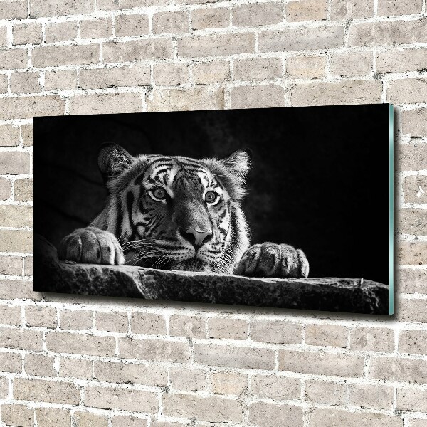 Wall art on glass Tiger