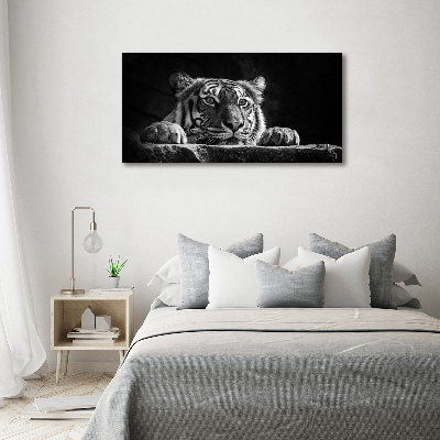 Wall art on glass Tiger