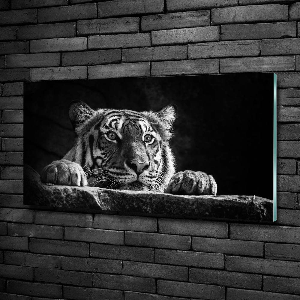 Wall art on glass Tiger