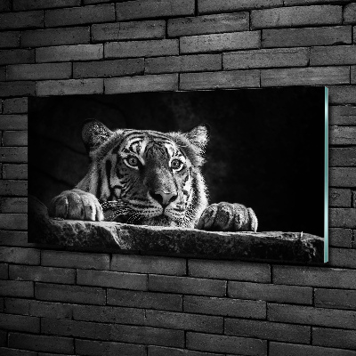 Wall art on glass Tiger